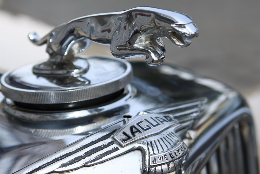 the polo and POLO Magazine Cartier Trav 21