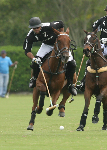photosalexpacheco polo magazine uspapiagetgoldcupsemifinalszacaravs lechu 6