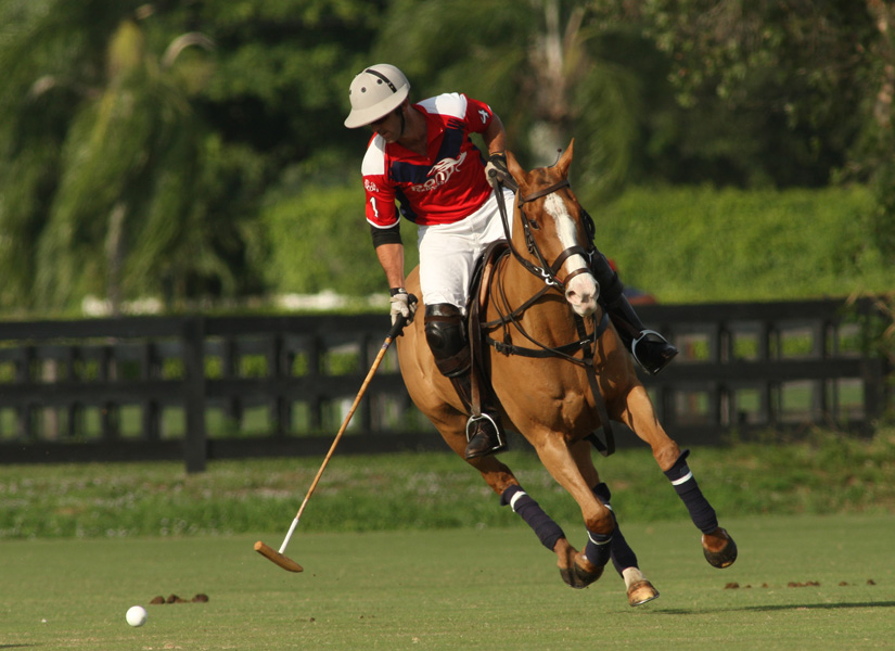 polomagazineGrand Champions poloclubPBP12GoalCasablancaPonyExpress 3