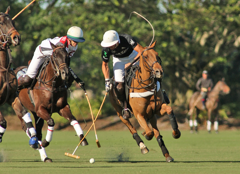 polomagazinejoebarry 2