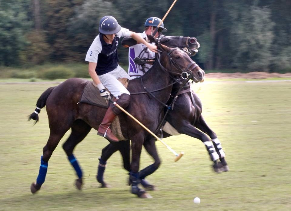 poloplayers