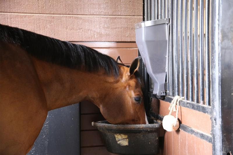 Enviro Equine and iFEED's Automatic Feeder Receives Rave Reviews, Saving Money and Keeping Horses Happy and Healthy