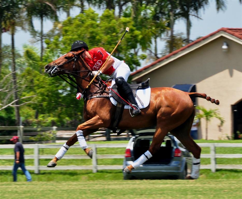 POLO Magazine Ami Polo Photography 1