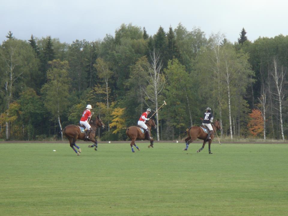 Photos from Tournaments and of the Polo - Moscow Office