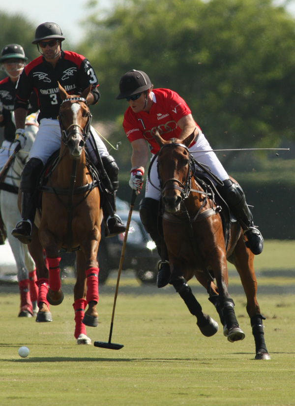 polomagazinepachecoPhotos-Bobby Barry Cup Orchard Hill Audipoloteam 1