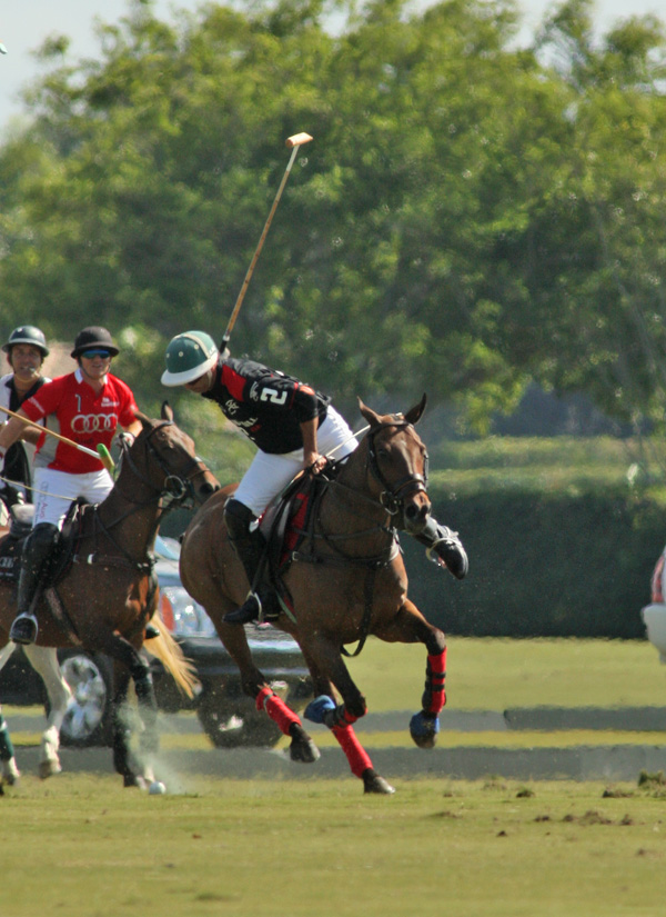 polomagazinepachecoPhotos-Bobby Barry Cup Orchard Hill Audipoloteam 2