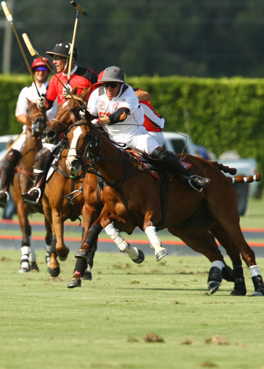 polo magazine US Open polo photos-Alegria ERG polo team 2
