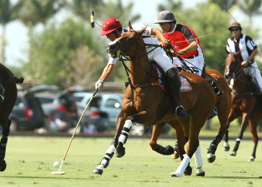 polo magazine US Open polo photos-Alegria ERG polo team 4
