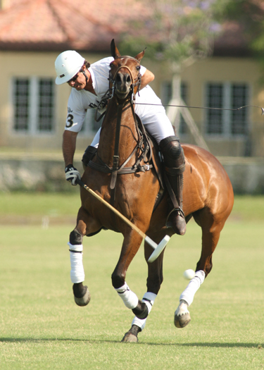 polophotopalmcitypoloclubpolomag 7